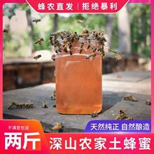 土蜂蜜1000g 百花蜜源天然野生蜂巢蜜农家纯蜂蜜