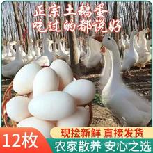 农家散养新鲜杂粮喂养土鹅蛋孕妇生鹅蛋现捡现发大个鹅蛋12枚