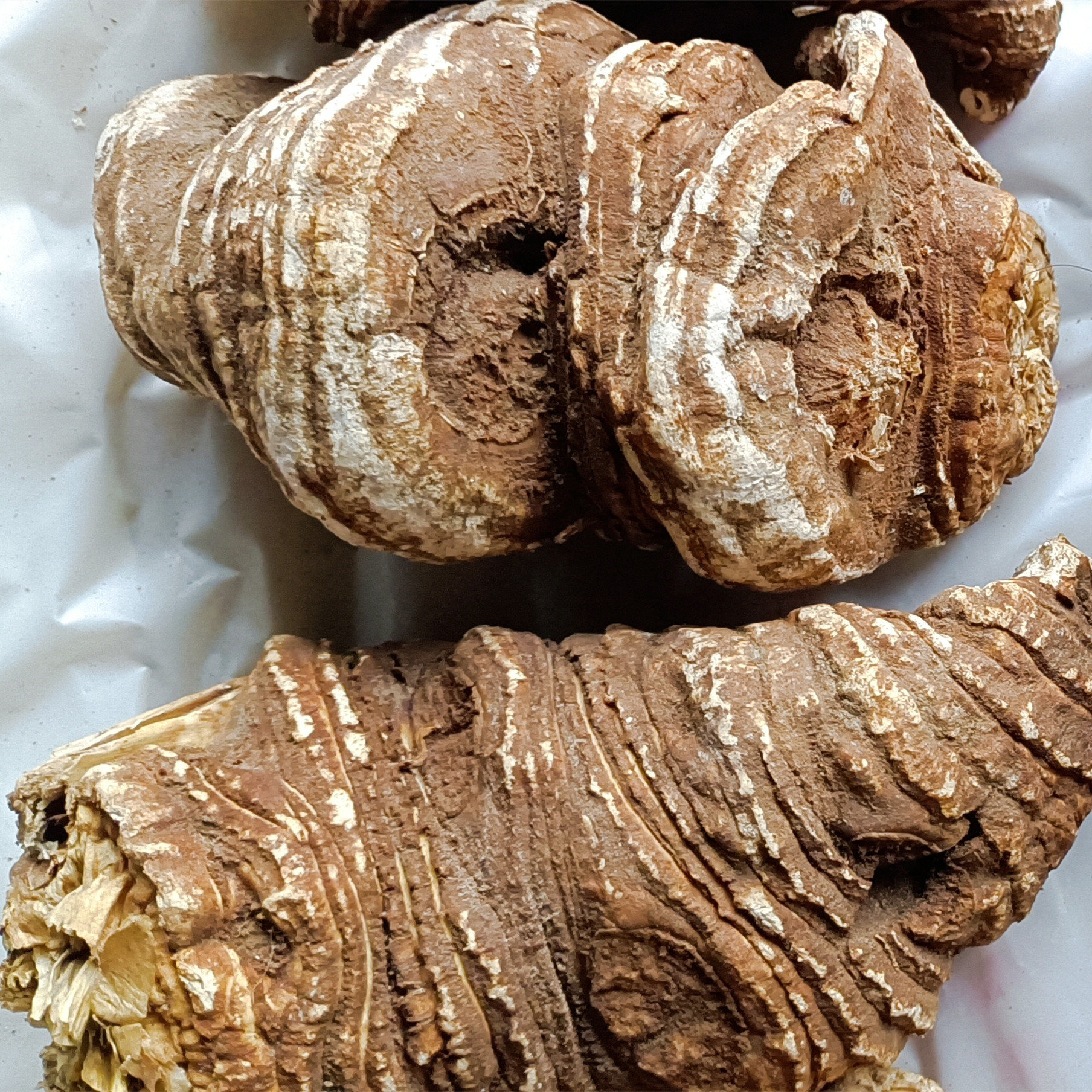 重楼 中药材批发滇重楼七叶一枝花 大片重楼云南重楼干货产地货源