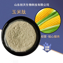 供应食品级玉米低聚肽粉 玉米肽 肽含量70%蛋白含量80% 各种肽粉