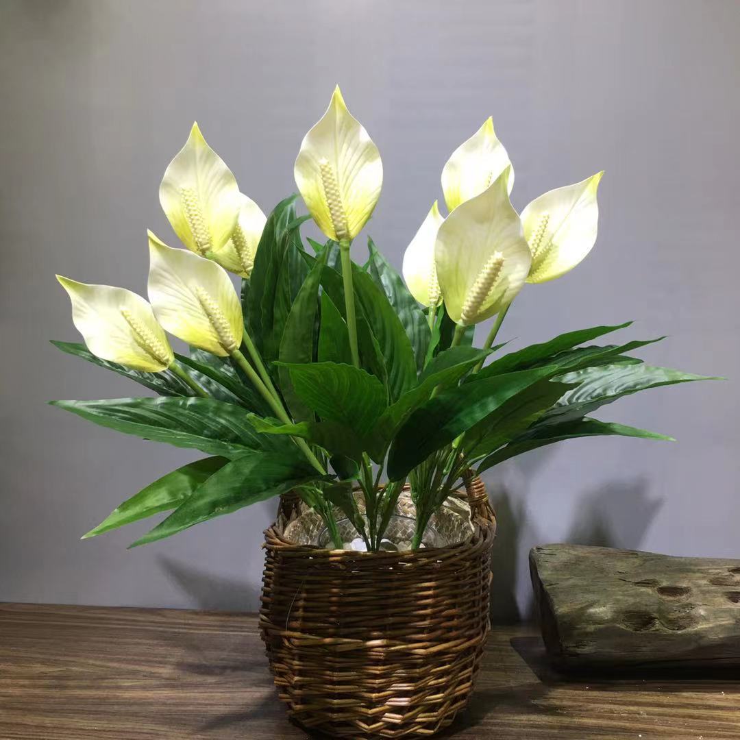 仿真白掌一帆风顺白鹤芋三头红掌和平芋会议室酒店摆放亚马逊跨境