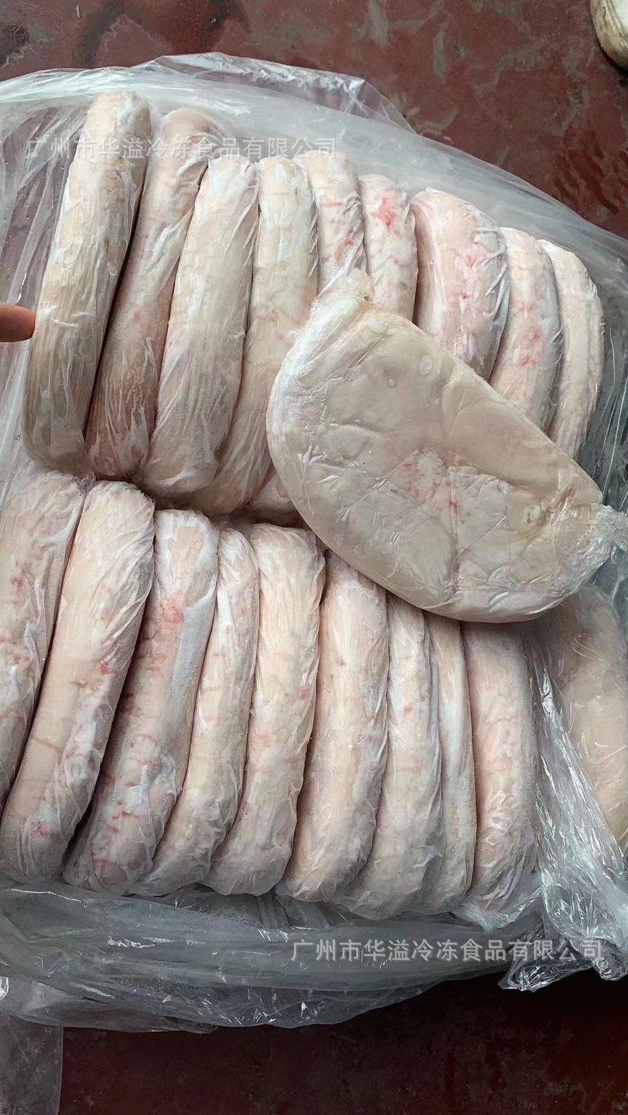 冷冻猪肚 原只猪肚 18只20斤/箱 兴友顺生鲜猪肚 猪肚鸡煲食材