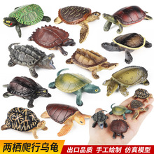 儿童认知仿真两栖爬行动物乌龟摆件中华草龟巴西龟真鳄龟模型玩具