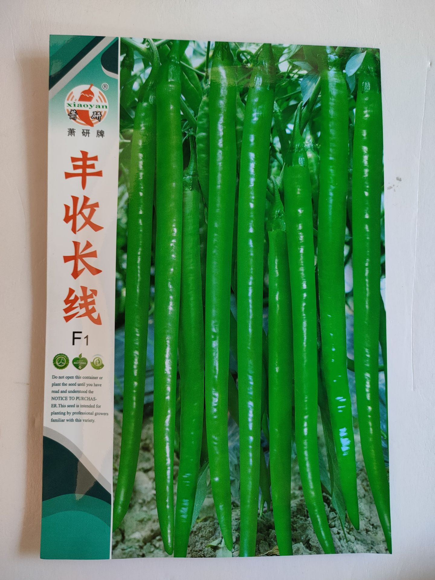 萧研牌萧螺一号小叶大果辣椒种子 螺丝椒杂交一代辣味浓 大田用种