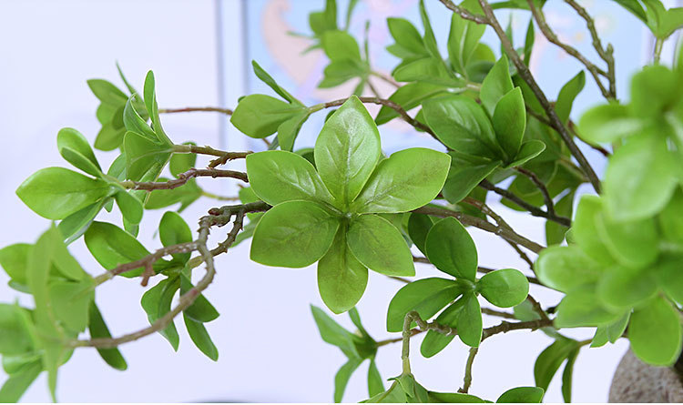 仿真植物仿真花 七星叶日本吊钟树叶假叶子 软装客厅装饰摄影道具