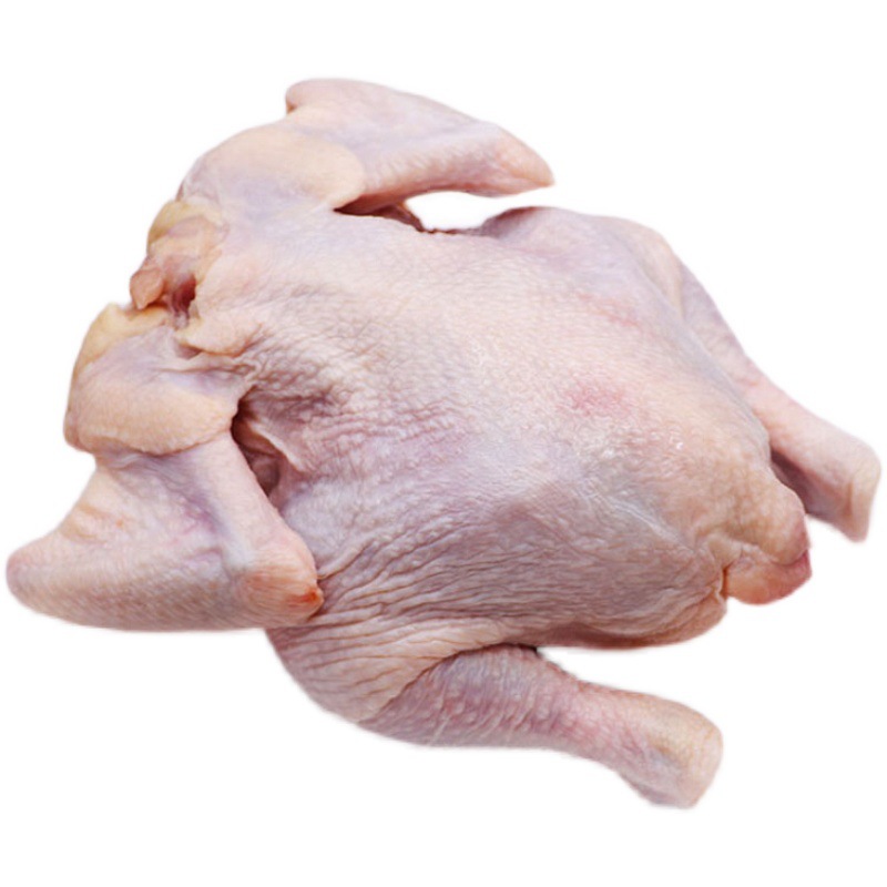 冷冻西装鸡18只20只23只28只童子鸡三黄鸡脆皮鸡烤鸡叫花鸡炸鸡