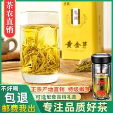 黄金芽茶叶2024年新茶安吉春茶级白茶绿茶250g礼盒装黄金茶
