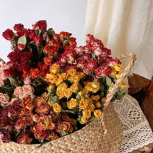 多头玫瑰干花花束蔷薇泡泡真花客厅家居插花装饰摆件送人礼物