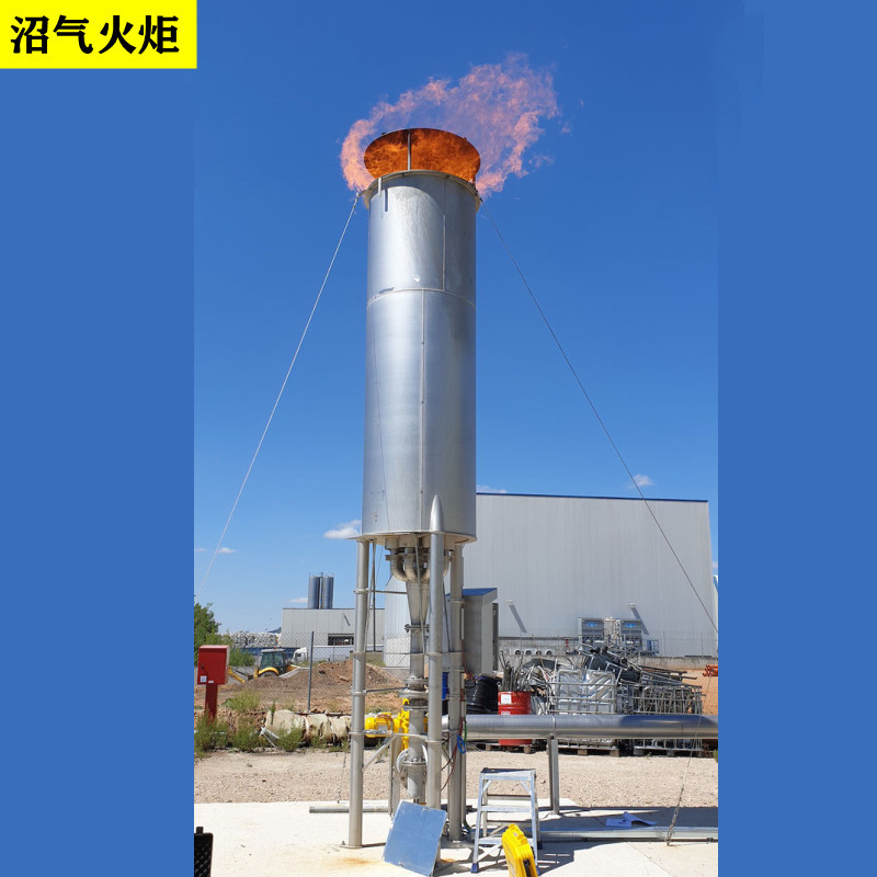 黔东南内燃式沼气火炬 工业废水燃烧火炬 低压沼气火炬