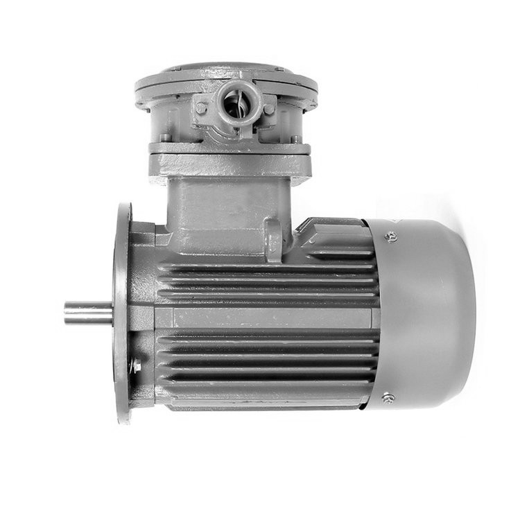 电磁防爆电机