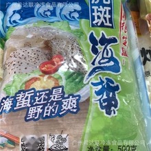 闽洋虎斑海蜇 即时海蜇 500克*20包/件 凉拌海蜇