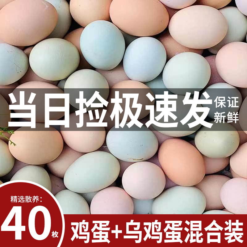 依禾农庄新鲜农家散养土鸡蛋绿壳乌鸡蛋混合装儿童孕妇老人月子蛋