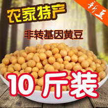 东北黄豆黑龙江农家自产黄豆榨豆浆生豆芽大豆10斤