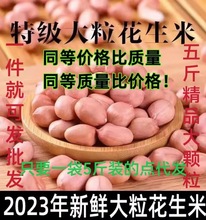 生花生米2023年农家大颗粒精选新鲜生花生花生仁花生米批发代发