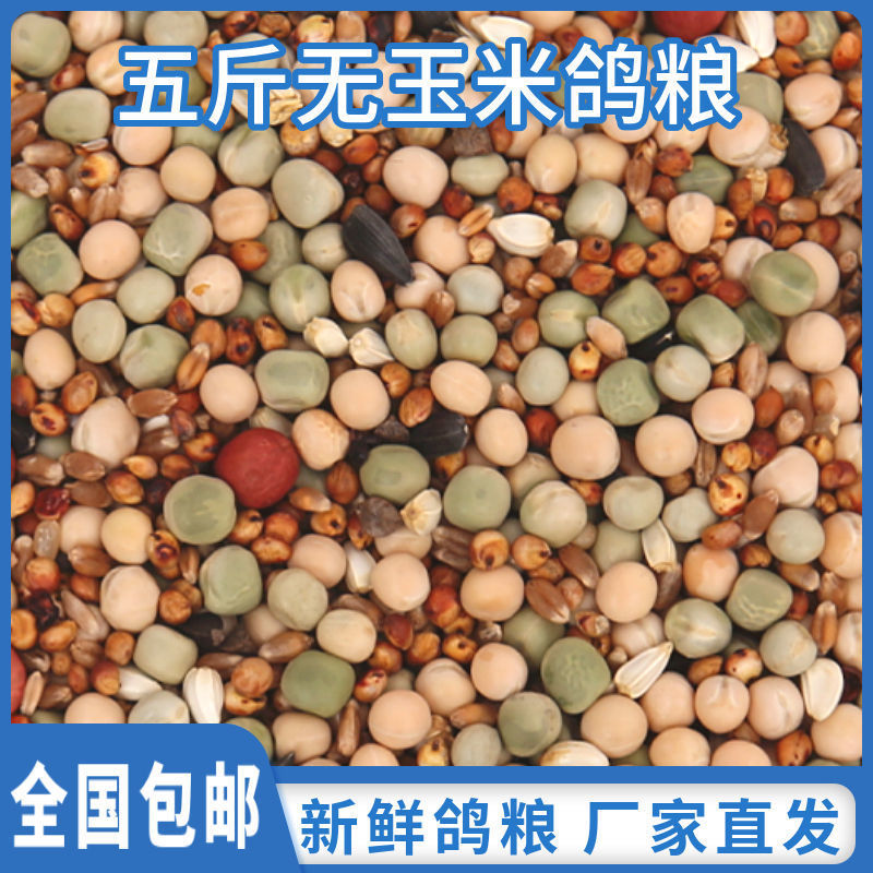 鸽子粮批发5斤/10斤精品无玉米鸽鸟食饲料粮食幼鸽信鸽观赏鸽批发
