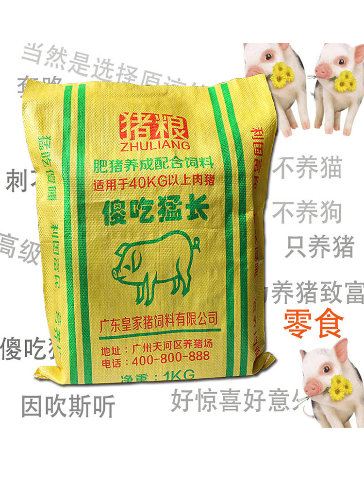 生日礼物送女友朋友恶搞送老婆猪饲料创意个性特别实用万圣节