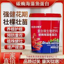 膨果氨基酸碳酶桶大果海藻鱼蛋白水溶肥增长高钙生根蔬果肥包邮