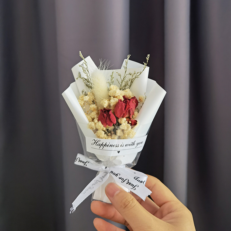 Spot Mother's Day Valentine's Day 520 Creative Mini Dried Flower Bouquet Red Rose Starry Sky Gift Gift with Hand Gift