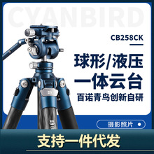 百诺BENRO青鸟碳纤维三脚架CB258CK相机单反便携支架铝合金微单手