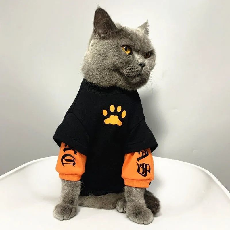 猫咪衣服幼猫薄款蓝猫春秋款帅气拼接卫衣防毛布偶小猫狗狗衣服
