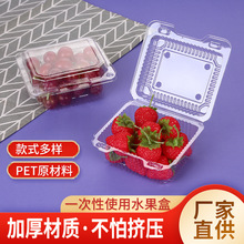 连盖透明塑料水果盒草莓葡萄食品保鲜盒现货一次性塑料果蔬盒厂家