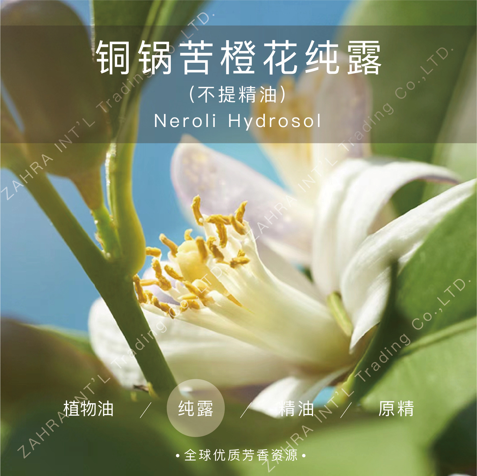 摩洛哥进口有机铜锅苦橙花纯露不提精油