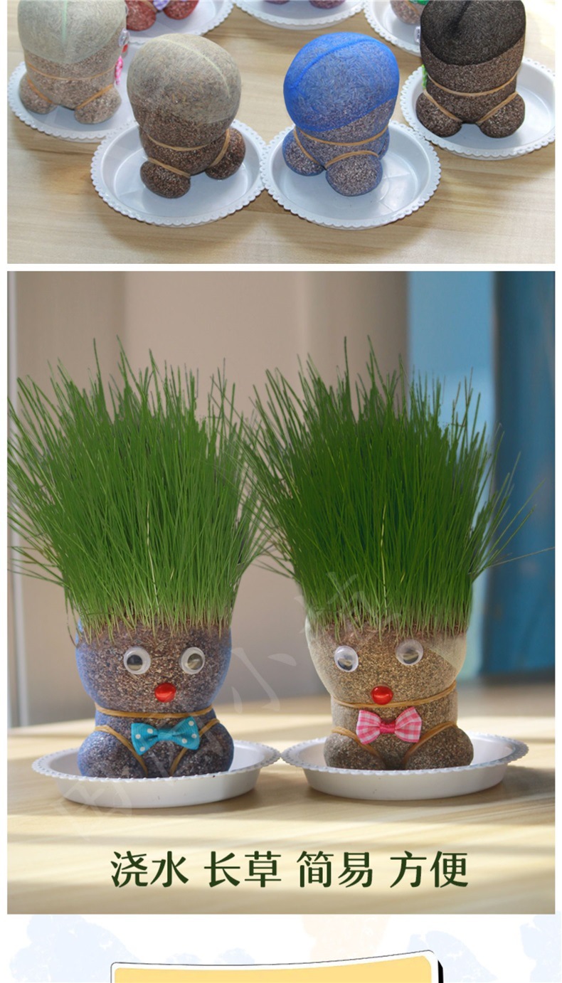 长草娃娃七彩葫芦娃情侣款草头幼儿园植物观察创意盆栽微景观