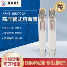 厂家供应管式熔断器电动机保护熔断器XRNT-10KV-20高压交流熔断器