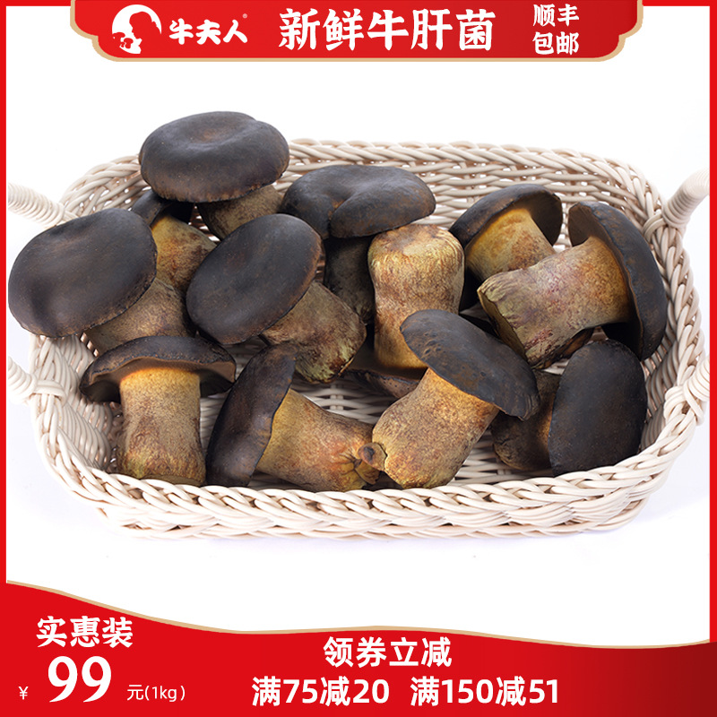 牛夫人新鲜牛肝菌500g实惠装云南特产有机黑牛肝菌珍稀食用菌蘑菇