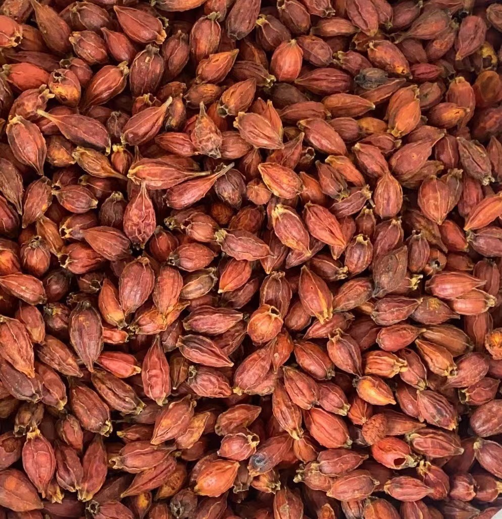 栀子新货散装水栀子500克红栀子干花草茶厂家直供量大价优