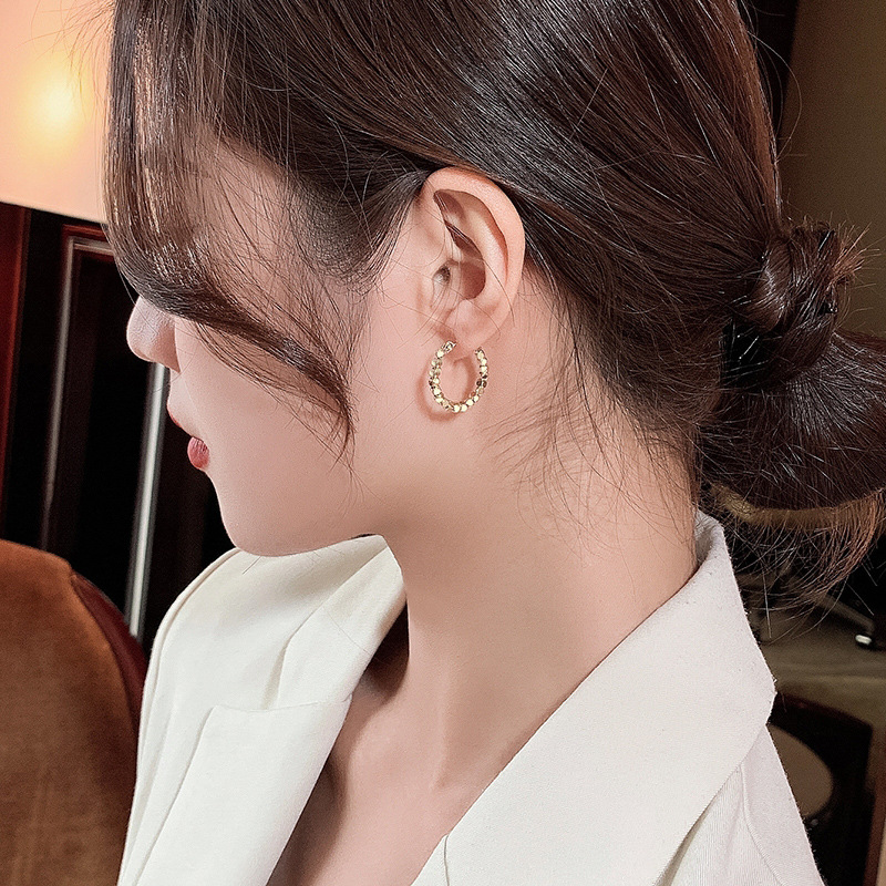 Metal Circle 2023 New Fashion Earrings Elegant Earrings Korean Internet Hot Ear Hook Eardrops Commuter Earrings