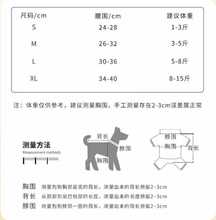 比熊泰迪狗狗宠物裤母狗卫生裤生理裤内裤月经期姨妈裤防骚扰