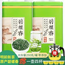 【送一壶四杯】绿茶碧螺春2023新茶茶叶批发浓香型跨境礼盒装250g