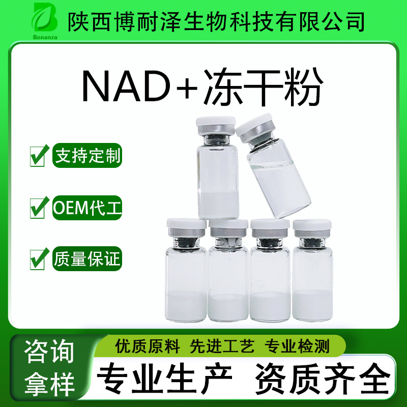NAD+无菌冻干粉 出口专供 另有其他冻干粉 NAD+冻干粉 现货