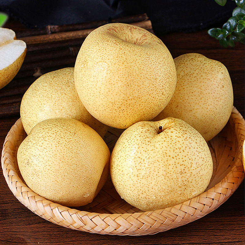 砀山酥梨梨子水果批发水果新鲜应季水果皇冠梨贡梨孕妇水果亚马逊