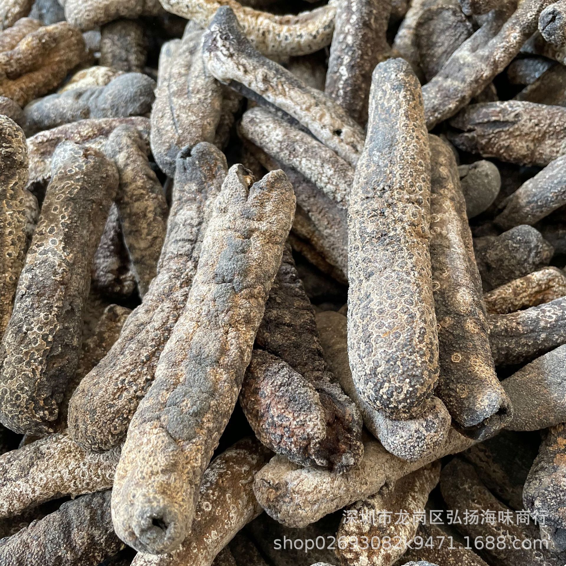 新几内亚虎皮参 黑虎皮参 大赤参 赤条海参干货 7-15头