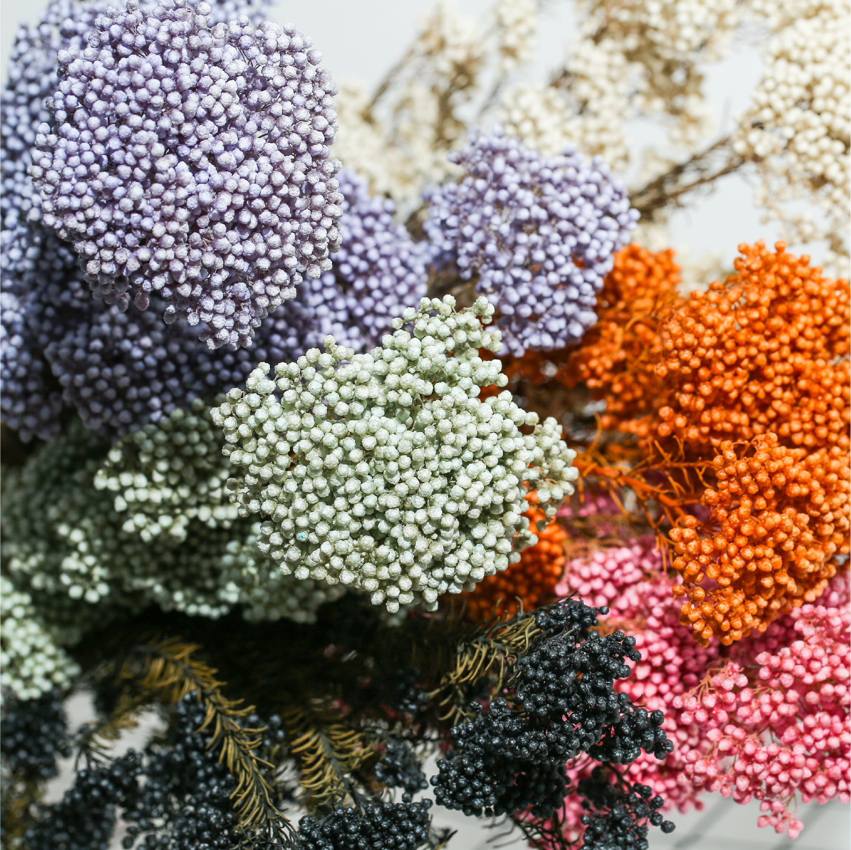 【工厂现货】米花 不易掉 diy 保鲜花 永生花 干花 小米花