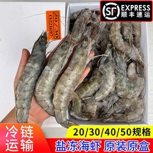 海捕青岛盐冻虾大虾鲜活超大活虾野生对虾基围虾白虾海鲜水产商用