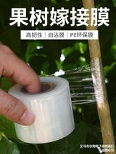 嫁接膜专用膜PE无需打结薄膜自粘式园林果树嫁接胶带包扎带缠绕膜