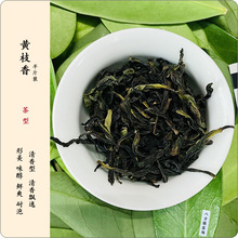 黄枝香（半斤装250g）潮州凤凰单枞茶 清香黄枝香高山乌龙碳焙茶