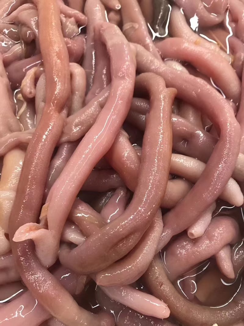批发新鲜冷冻去脏海肠皮 青岛本地海鲜莱州海肠 酒店烧烤食材