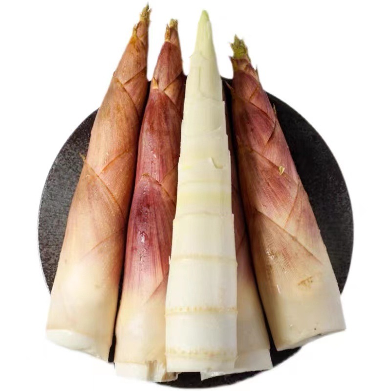 浙江临安雷笋春笋现挖小竹笋2斤3斤5斤装产地直发春笋一件代发