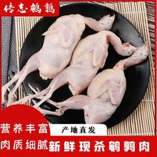 鹌鹑肉鹌鹑冻鲜生肉新鲜大母冷冻肉放血现杀活体母白条烧烤生骨肉