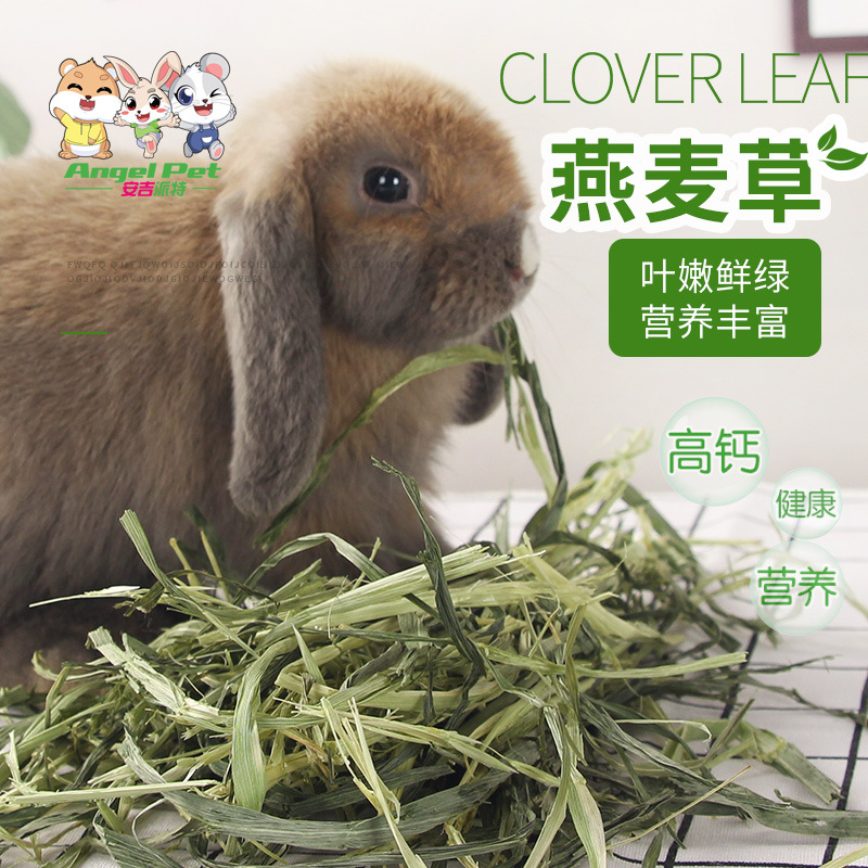 兔兔干草绿燕麦草晒干兔粮饲料500g兔子龙猫荷兰猪豚鼠牧草高纤维