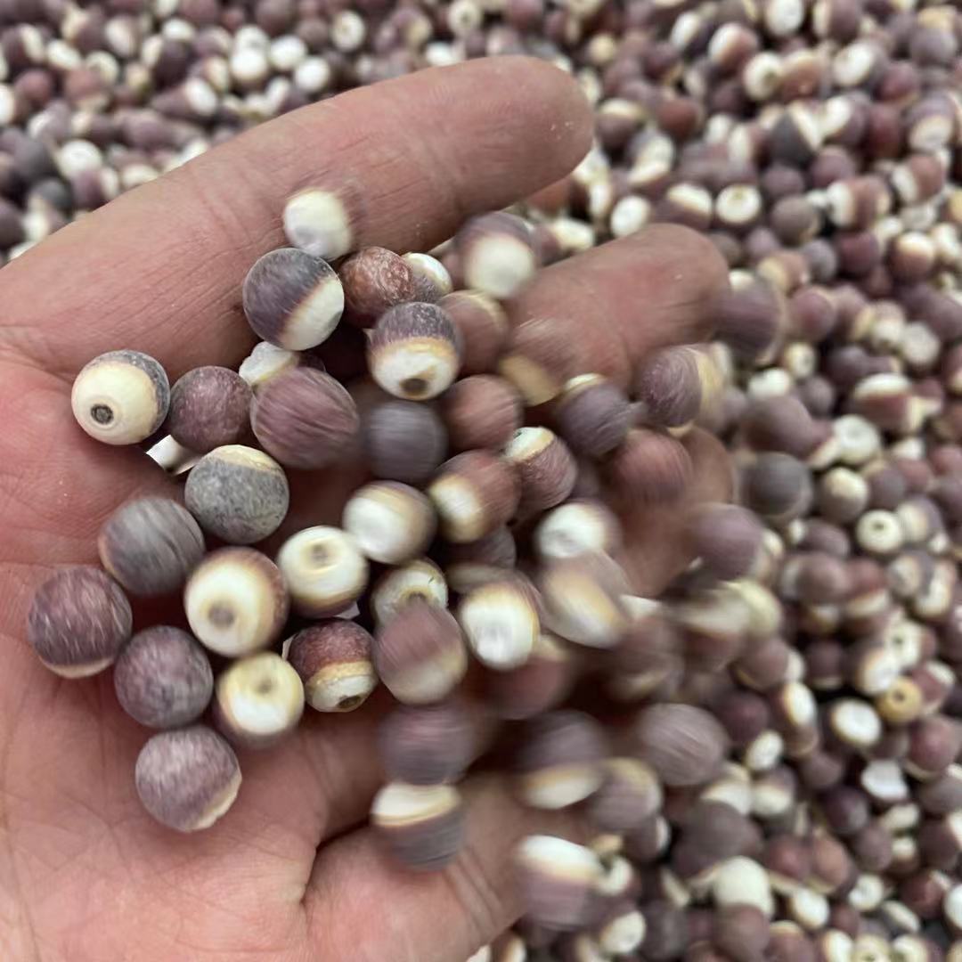 生芡实整个圆形芡实1斤 芡实米散装批发低温烘焙芡实煲汤原料芡实