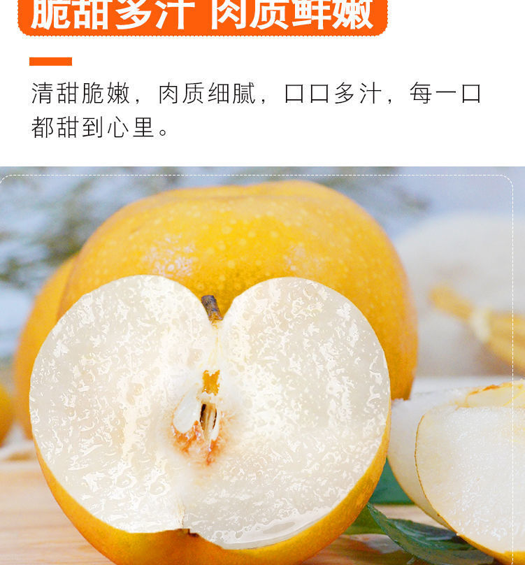 咸菜山东莱阳冰糖丰水梨新鲜梨子当季脆甜多汁黄花梨雪梨当季秋月