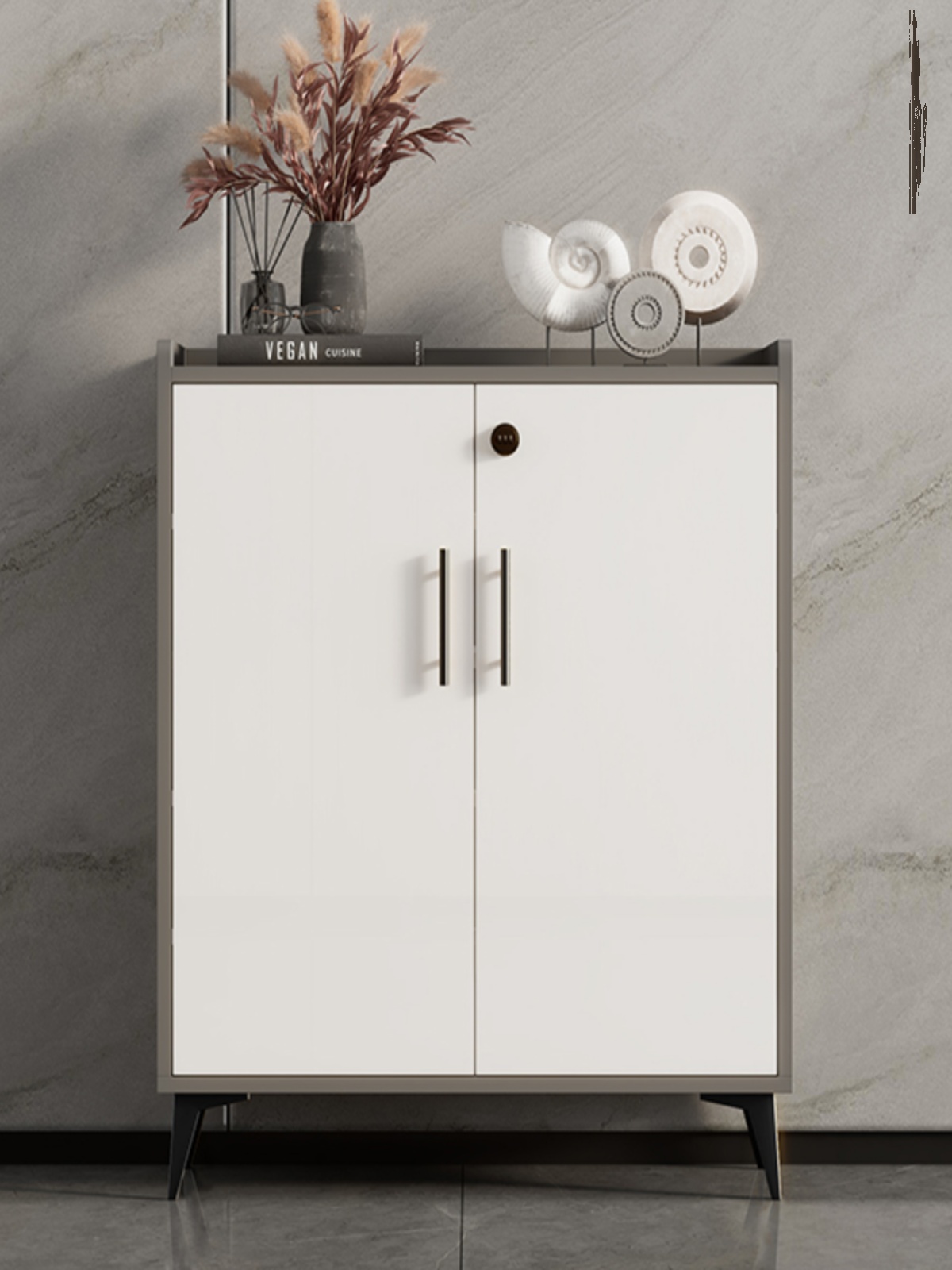 带锁鞋柜门外柜楼道家用门口入户走廊电梯口密码锁宿舍储物柜室外