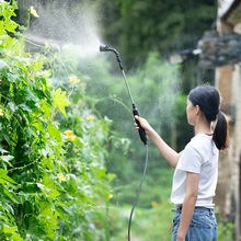 电动喷雾器喷水枪高压喷壶家用园艺喷淋浇花小型农用打药