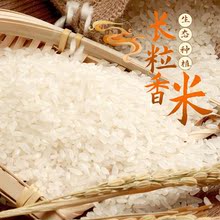 五常长粒香米黑龙江种植基地2022年东北大米新米稻花香米10斤批发