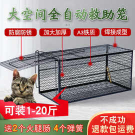 捕猫陷阱大全带图图片